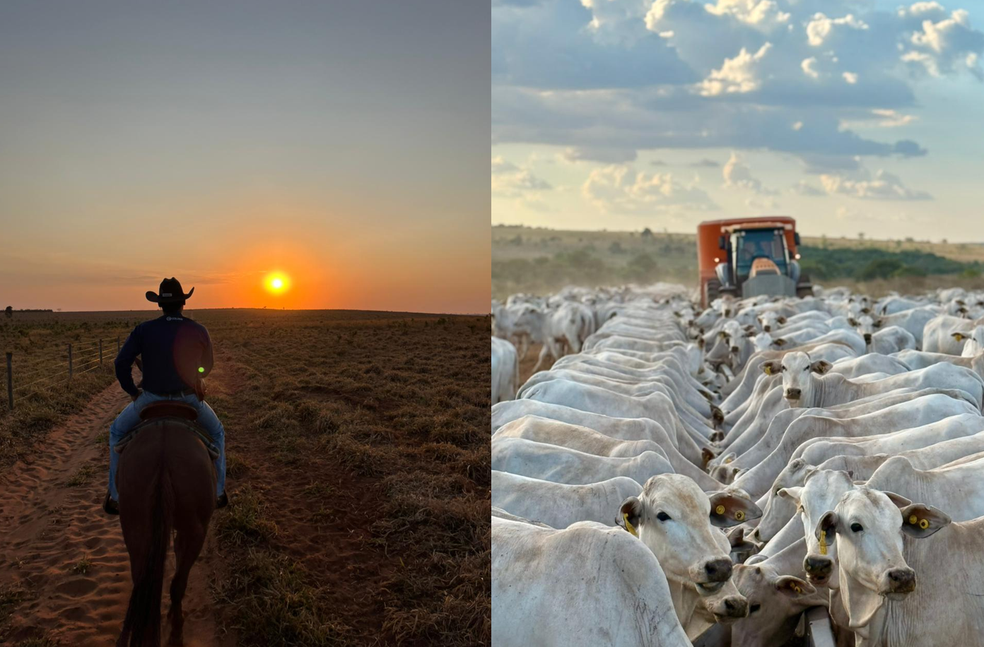 Panorama das fazendas da Colpar Agro no Centro-Oeste brasileiro